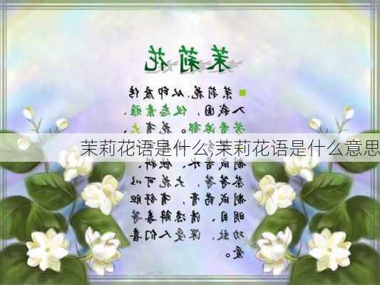 茉莉花语是什么,茉莉花语是什么意思-第2张图片-花卉百科