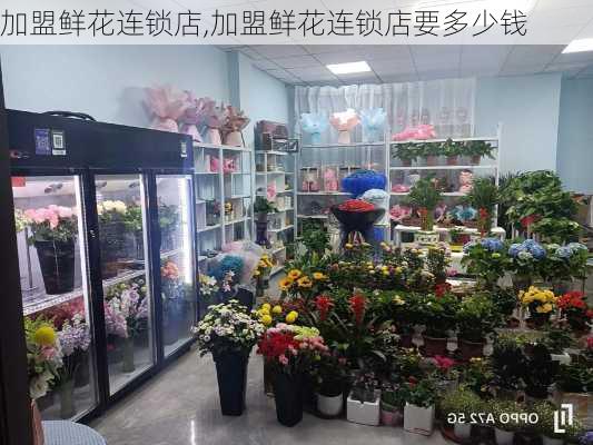 加盟鲜花连锁店,加盟鲜花连锁店要多少钱-第2张图片-花卉百科