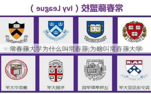 常春藤大学为什么叫常春藤,为啥叫常春藤大学-第3张图片-花卉百科