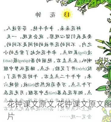 花钟课文原文,花钟课文原文图片-第3张图片-花卉百科