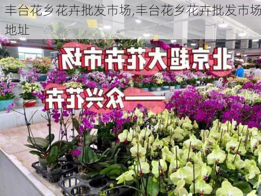 丰台花乡花卉批发市场,丰台花乡花卉批发市场地址-第1张图片-花卉百科