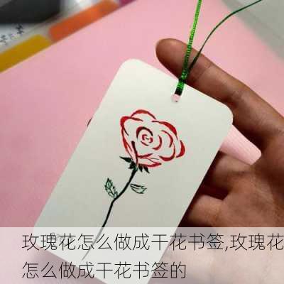 玫瑰花怎么做成干花书签,玫瑰花怎么做成干花书签的-第3张图片-花卉百科