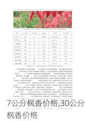 7公分枫香价格,30公分枫香价格-第2张图片-花卉百科