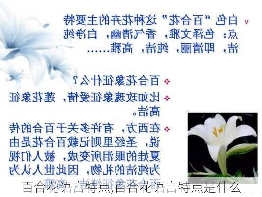 百合花语言特点,百合花语言特点是什么-第3张图片-花卉百科