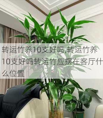 转运竹养10支好吗,转运竹养10支好吗转运竹应摆在客厅什么位置