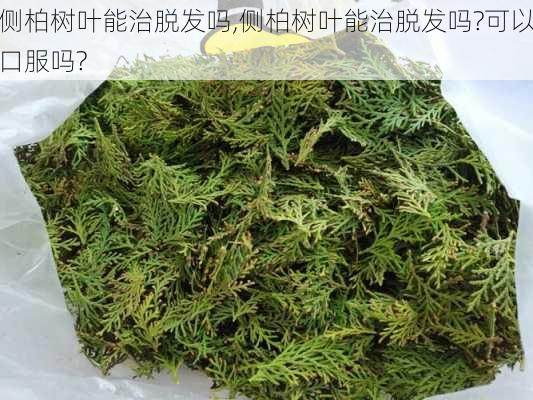 侧柏树叶能治脱发吗,侧柏树叶能治脱发吗?可以口服吗?