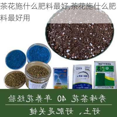 茶花施什么肥料最好,茶花施什么肥料最好用-第2张图片-花卉百科