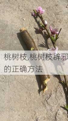 桃树枝,桃树枝辟邪的正确方法