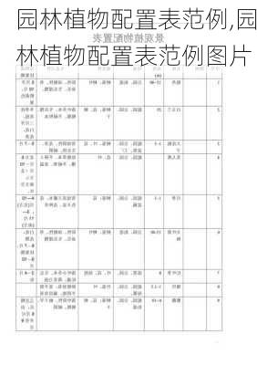 园林植物配置表范例,园林植物配置表范例图片