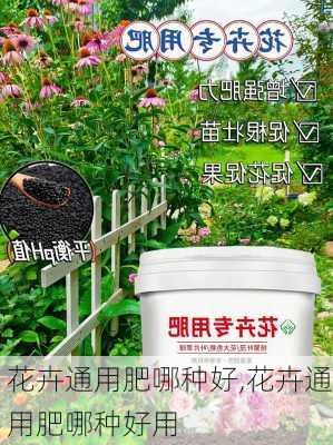 花卉通用肥哪种好,花卉通用肥哪种好用-第3张图片-花卉百科