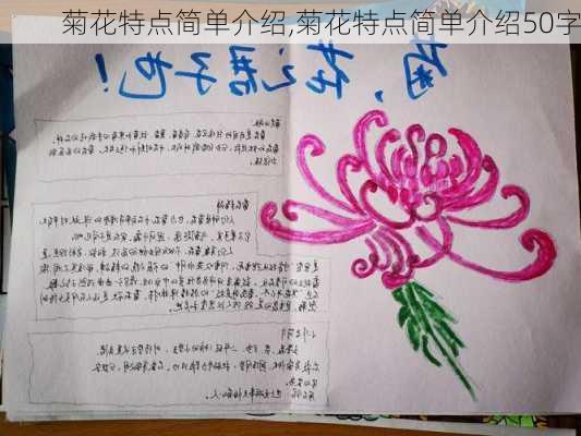 菊花特点简单介绍,菊花特点简单介绍50字-第2张图片-花卉百科