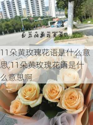 11朵黄玫瑰花语是什么意思,11朵黄玫瑰花语是什么意思啊-第2张图片-花卉百科