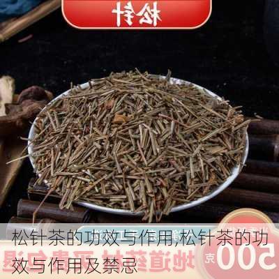 松针茶的功效与作用,松针茶的功效与作用及禁忌-第2张图片-花卉百科