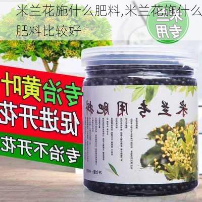 米兰花施什么肥料,米兰花施什么肥料比较好-第2张图片-花卉百科