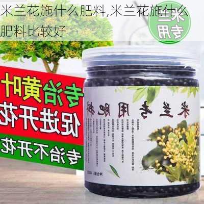 米兰花施什么肥料,米兰花施什么肥料比较好-第1张图片-花卉百科