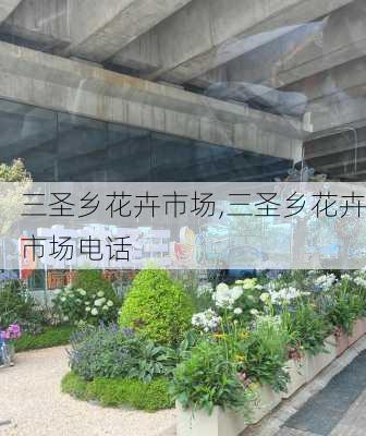 三圣乡花卉市场,三圣乡花卉市场电话-第2张图片-花卉百科