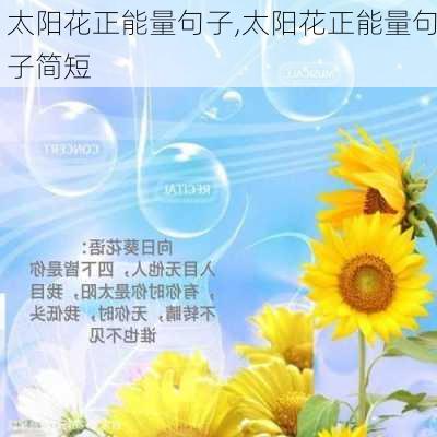 太阳花正能量句子,太阳花正能量句子简短-第3张图片-花卉百科