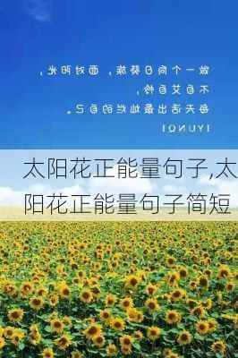 太阳花正能量句子,太阳花正能量句子简短-第2张图片-花卉百科