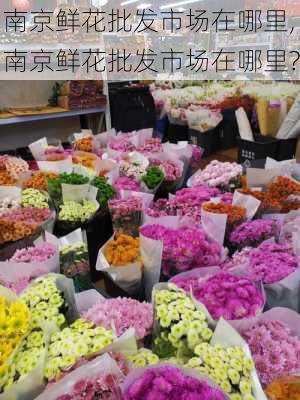 南京鲜花批发市场在哪里,南京鲜花批发市场在哪里?-第2张图片-花卉百科