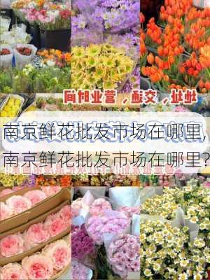 南京鲜花批发市场在哪里,南京鲜花批发市场在哪里?