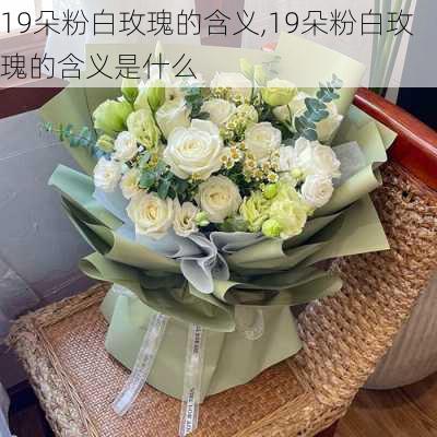 19朵粉白玫瑰的含义,19朵粉白玫瑰的含义是什么