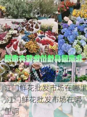 江门鲜花批发市场在哪里,江门鲜花批发市场在哪里啊-第2张图片-花卉百科