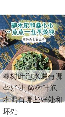 桑树叶泡水喝有哪些好处,桑树叶泡水喝有哪些好处和坏处-第1张图片-花卉百科