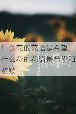 什么花的花语是希望,什么花的花语是希望和救赎-第2张图片-花卉百科