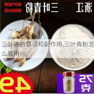 三叶青的禁忌和副作用,三叶青粉怎么服用-第3张图片-花卉百科