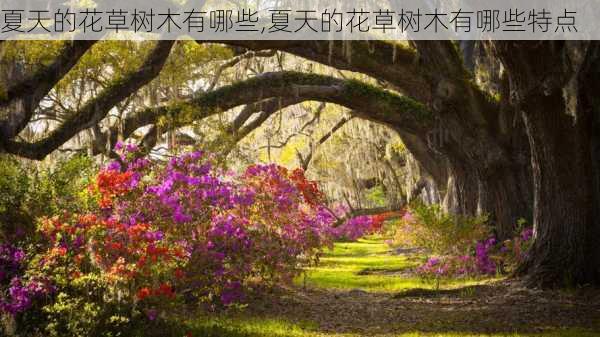 夏天的花草树木有哪些,夏天的花草树木有哪些特点-第3张图片-花卉百科