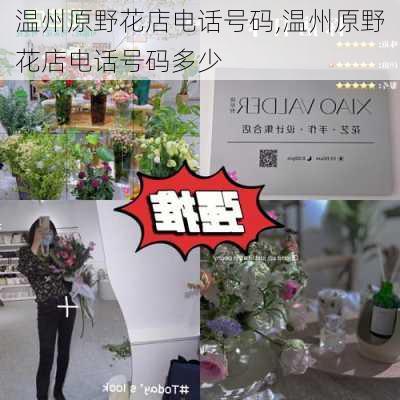 温州原野花店电话号码,温州原野花店电话号码多少-第1张图片-花卉百科