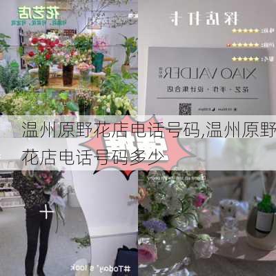 温州原野花店电话号码,温州原野花店电话号码多少-第2张图片-花卉百科