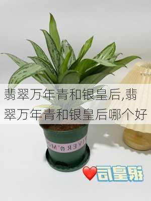 翡翠万年青和银皇后,翡翠万年青和银皇后哪个好-第2张图片-花卉百科