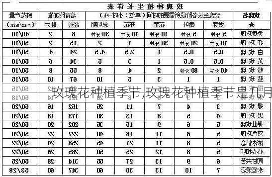 玫瑰花种植季节,玫瑰花种植季节是几月