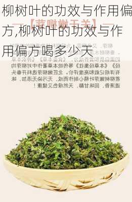 柳树叶的功效与作用偏方,柳树叶的功效与作用偏方喝多少天