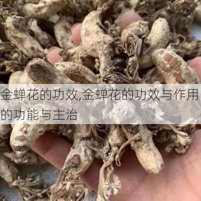 金蝉花的功效,金蝉花的功效与作用的功能与主治-第2张图片-花卉百科