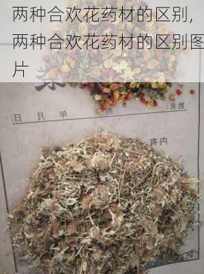 两种合欢花药材的区别,两种合欢花药材的区别图片