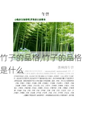 竹子的品格,竹子的品格是什么-第3张图片-花卉百科