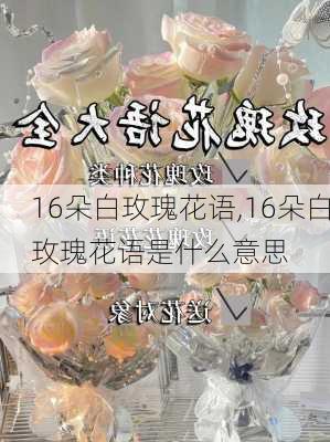 16朵白玫瑰花语,16朵白玫瑰花语是什么意思-第2张图片-花卉百科