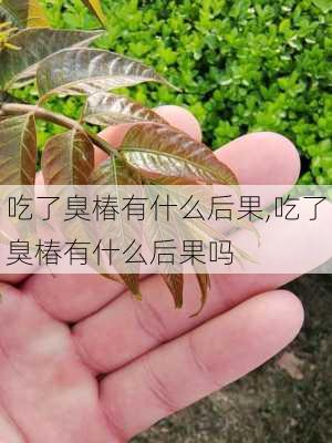 吃了臭椿有什么后果,吃了臭椿有什么后果吗-第1张图片-花卉百科