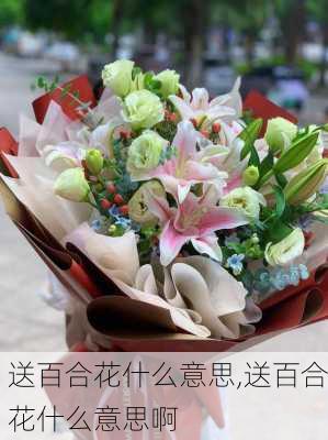 送百合花什么意思,送百合花什么意思啊