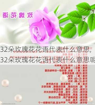 32朵玫瑰花花语代表什么意思,32朵玫瑰花花语代表什么意思呢-第2张图片-花卉百科