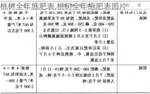 桃树全年施肥表,桃树全年施肥表图片