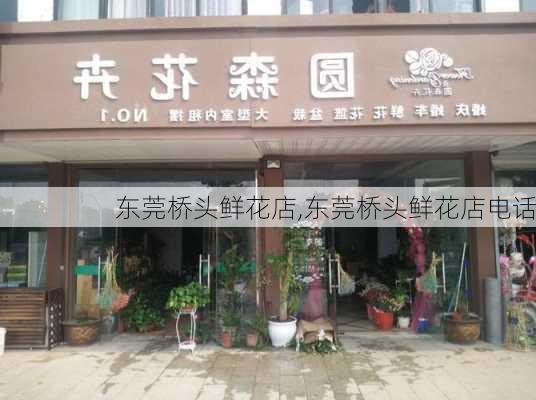 东莞桥头鲜花店,东莞桥头鲜花店电话-第1张图片-花卉百科