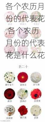 各个农历月份的代表花,各个农历月份的代表花是什么花