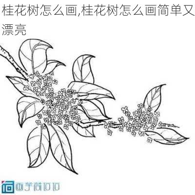 桂花树怎么画,桂花树怎么画简单又漂亮