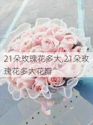 21朵玫瑰花多大,21朵玫瑰花多大花瓣