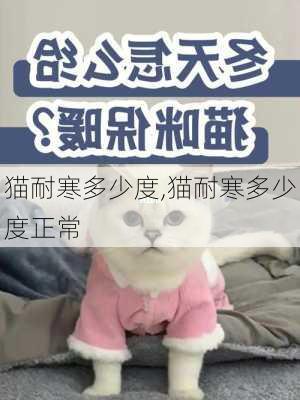 猫耐寒多少度,猫耐寒多少度正常