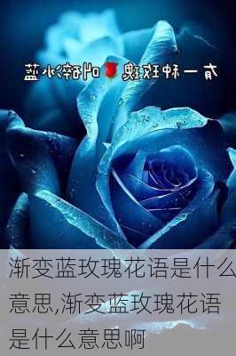 渐变蓝玫瑰花语是什么意思,渐变蓝玫瑰花语是什么意思啊