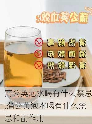 蒲公英泡水喝有什么禁忌,蒲公英泡水喝有什么禁忌和副作用